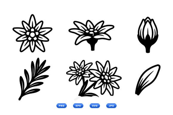 Edelweiss Floral Clipart Set: Graphics and Illustrations for Branding